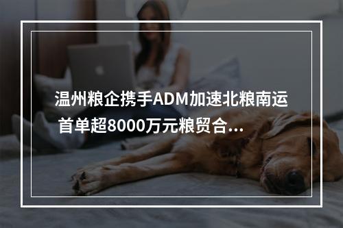 温州粮企携手ADM加速北粮南运 首单超8000万元粮贸合作落地