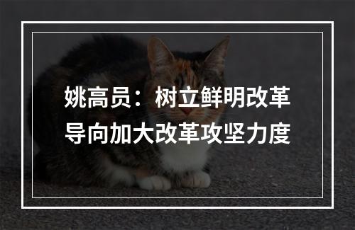 姚高员：树立鲜明改革导向加大改革攻坚力度