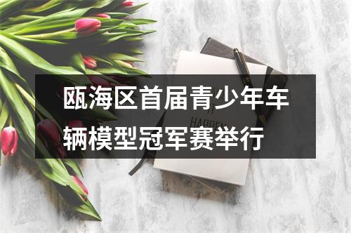 瓯海区首届青少年车辆模型冠军赛举行