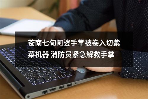 苍南七旬阿婆手掌被卷入切紫菜机器 消防员紧急解救手掌