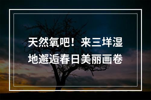 天然氧吧！来三垟湿地邂逅春日美丽画卷