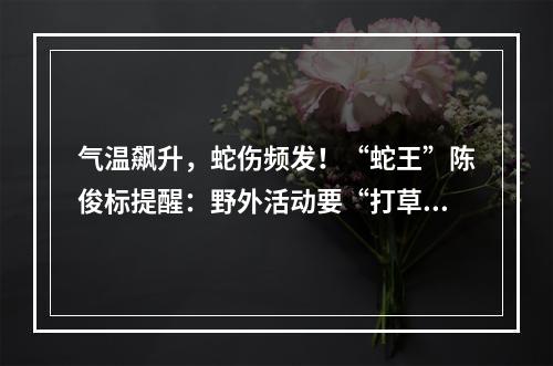 气温飙升，蛇伤频发！“蛇王”陈俊标提醒：野外活动要“打草惊蛇”