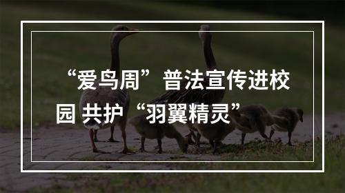 “爱鸟周”普法宣传进校园 共护“羽翼精灵”