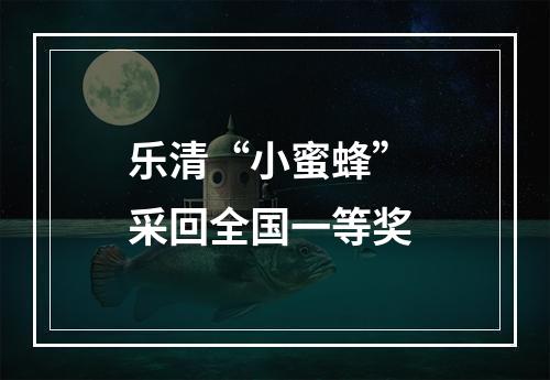 乐清“小蜜蜂” 采回全国一等奖