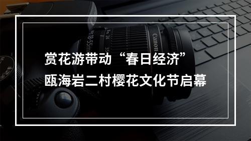 赏花游带动“春日经济” 瓯海岩二村樱花文化节启幕