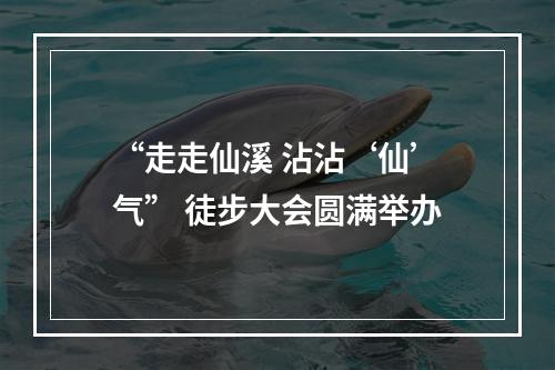 “走走仙溪 沾沾‘仙’气” 徒步大会圆满举办