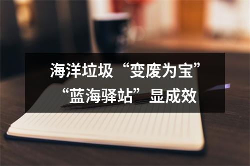 海洋垃圾“变废为宝” “蓝海驿站”显成效