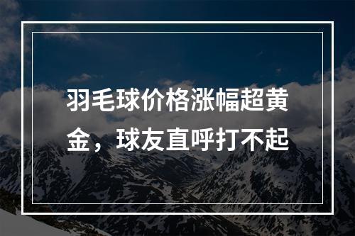 羽毛球价格涨幅超黄金，球友直呼打不起