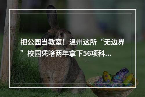 把公园当教室！温州这所“无边界”校园凭啥两年拿下56项科创奖？