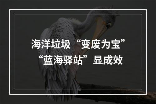 海洋垃圾“变废为宝” “蓝海驿站”显成效