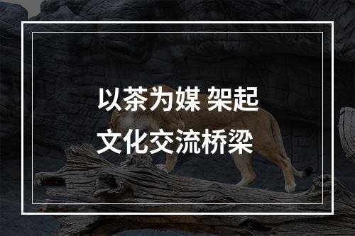 以茶为媒 架起文化交流桥梁