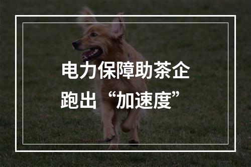 电力保障助茶企跑出“加速度”