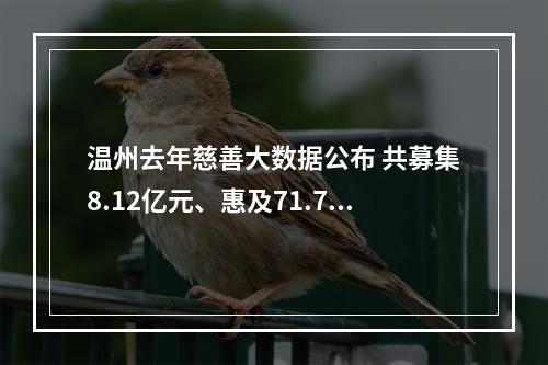 温州去年慈善大数据公布 共募集8.12亿元、惠及71.72万人次