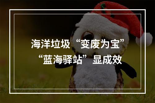 海洋垃圾“变废为宝” “蓝海驿站”显成效