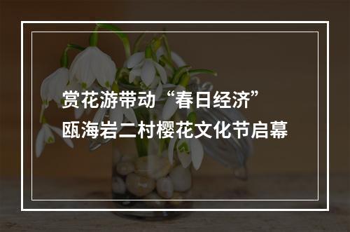 赏花游带动“春日经济” 瓯海岩二村樱花文化节启幕