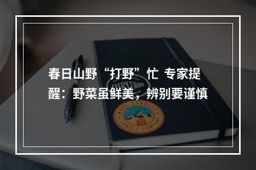 春日山野“打野”忙  专家提醒：野菜虽鲜美，辨别要谨慎