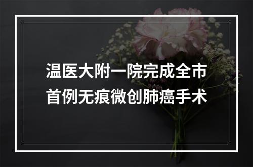温医大附一院完成全市首例无痕微创肺癌手术