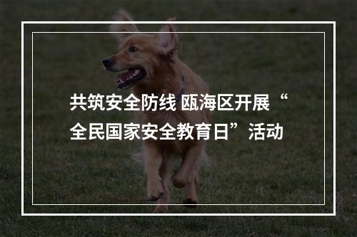 共筑安全防线 瓯海区开展“全民国家安全教育日”活动