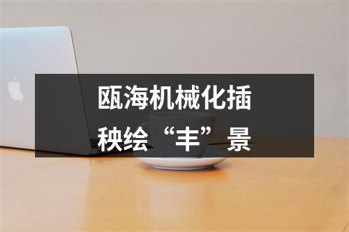 瓯海机械化插秧绘“丰”景