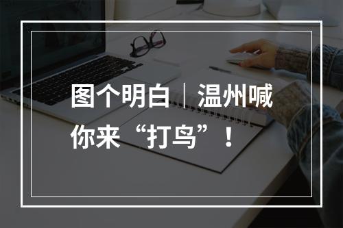 图个明白｜温州喊你来“打鸟”！