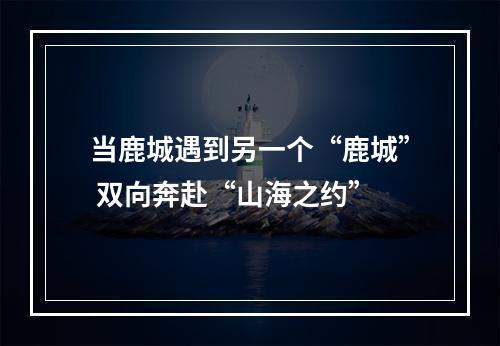 当鹿城遇到另一个“鹿城” 双向奔赴“山海之约”