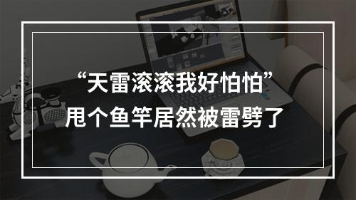 “天雷滚滚我好怕怕” 甩个鱼竿居然被雷劈了