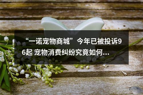 “一诺宠物商城”今年已被投诉96起 宠物消费纠纷究竟如何维权？