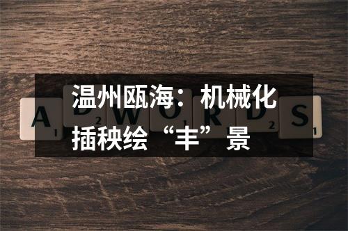 温州瓯海：机械化插秧绘“丰”景