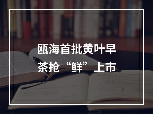 瓯海首批黄叶早茶抢“鲜”上市