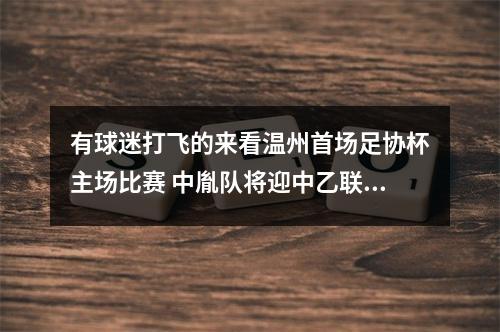 有球迷打飞的来看温州首场足协杯主场比赛 中胤队将迎中乙联赛南区榜首之战