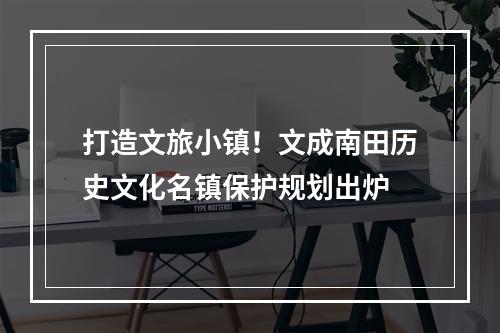 打造文旅小镇！文成南田历史文化名镇保护规划出炉