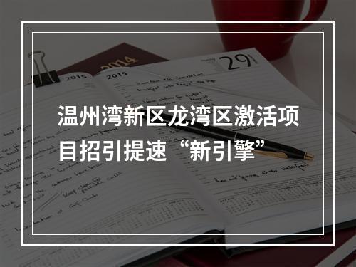 温州湾新区龙湾区激活项目招引提速“新引擎”