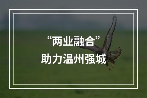 “两业融合”助力温州强城
