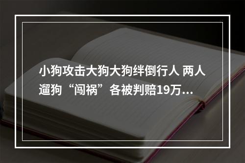 小狗攻击大狗大狗绊倒行人 两人遛狗“闯祸”各被判赔19万余元