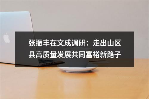 张振丰在文成调研：走出山区县高质量发展共同富裕新路子