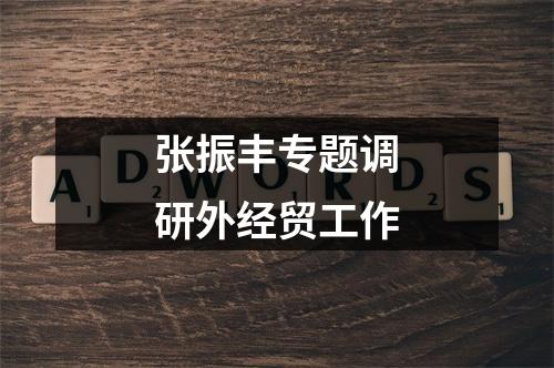 张振丰专题调研外经贸工作