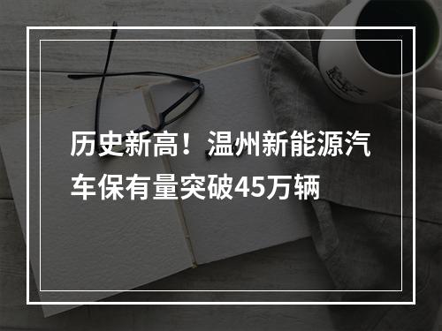 历史新高！温州新能源汽车保有量突破45万辆