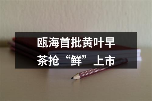 瓯海首批黄叶早茶抢“鲜”上市