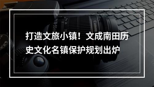 打造文旅小镇！文成南田历史文化名镇保护规划出炉