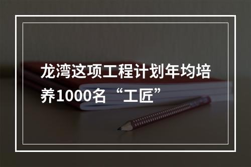 龙湾这项工程计划年均培养1000名“工匠”