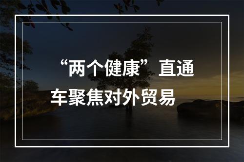 “两个健康”直通车聚焦对外贸易