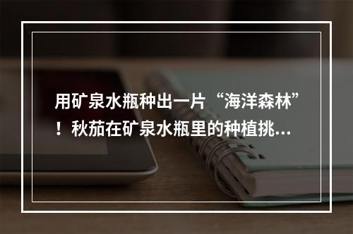用矿泉水瓶种出一片“海洋森林”！秋茄在矿泉水瓶里的种植挑战实验