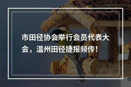 市田径协会举行会员代表大会，温州田径捷报频传！