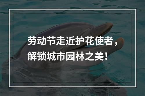 劳动节走近护花使者，解锁城市园林之美！