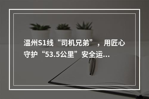 温州S1线“司机兄弟”，用匠心守护“53.5公里”安全运行
