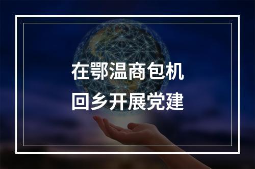 在鄂温商包机回乡开展党建