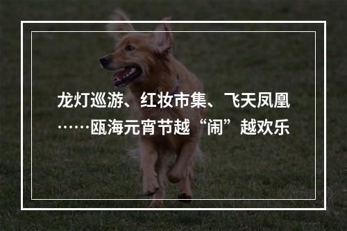 龙灯巡游、红妆市集、飞天凤凰……瓯海元宵节越“闹”越欢乐