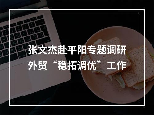 张文杰赴平阳专题调研外贸“稳拓调优”工作