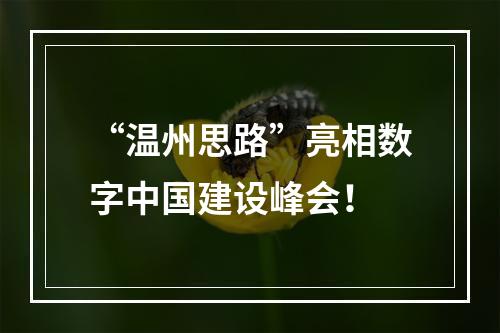 “温州思路”亮相数字中国建设峰会！