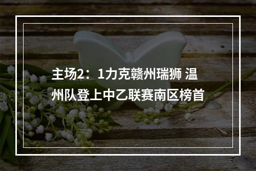 主场2：1力克赣州瑞狮 温州队登上中乙联赛南区榜首